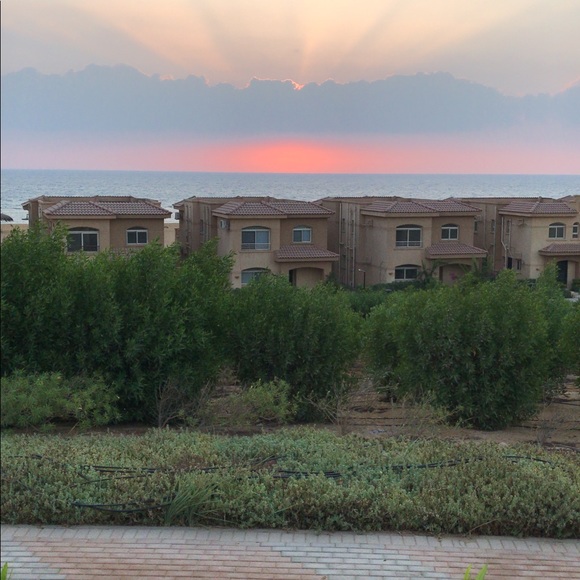 Meet your Posher, Adam - Picture 1 of 1